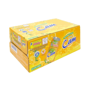 Carton Nắp Rời